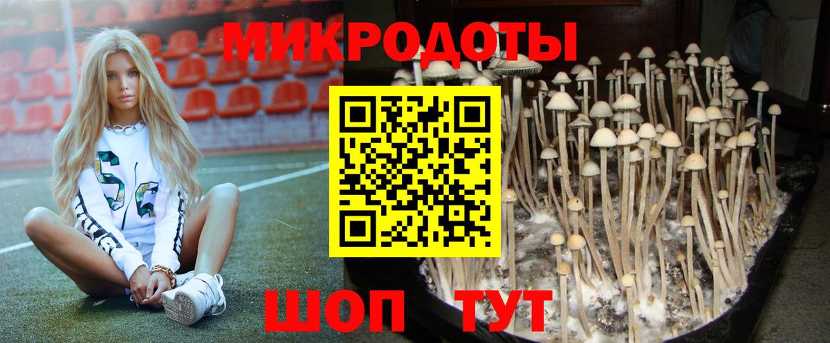 Галлюциногенные грибы Psilocybine cubensis  купить наркотик  Урус-Мартан 