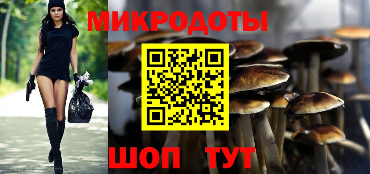 Псилоцибиновые грибы мухоморы  Вход с VPN  купить закладку  Урус-Мартан 