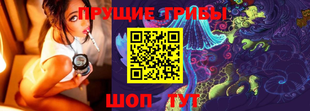 Псилоцибиновые грибы GOLDEN TEACHER Урус-Мартан