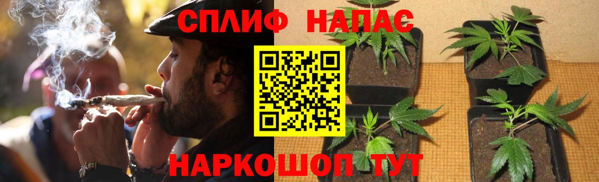 Каннабис семена Урус-Мартан